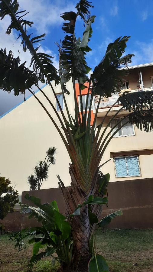 Le Voyageur A 1 Mn Du Chu Sud Terre-Sainte, Saint-Pierre Apartment ภายนอก รูปภาพ